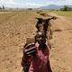 A man takes a selfie photograph near a chasm suspected to have been caused by a heavy downpour along an underground fault-line near the Rift Valley town of Mai Mahiu, Kenya March 28, 2018. Picture taken March 28, 2018.